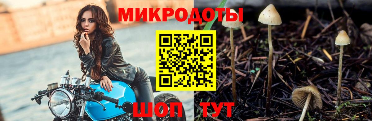 Псилоцибиновые грибы GOLDEN TEACHER Майкоп